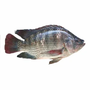 Fish – Tilapia (foreign, 1kg)